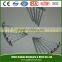hot sale BWG8~BWG19 galvanized umbrella head roofing nails