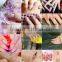 cheap art digital natural and artifical nail printer with high technology