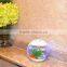 fashion glass bullet aquarium fish tank guppy fish, betta fish,toy fish aquarium fish tank