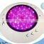 IP68 12V Waterproof Low-Priced LED Underwater Lighting