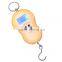 Convenient Digital Hanging Weighing Scale