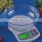 LCD Display Digital Retail Household Scale