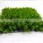 High quality artificial boxwood mat synthetic Grass with cheap price