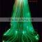 Remote Control Light Up Fairy Wings