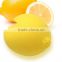 custom made food grade silicone lemon squeezer,manual orange silicone juicer