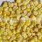 Frozen dried sweet corn