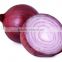 Supply Fresh red onion with good quality for sale