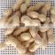 Chinese peanut kernels in shell with high quality for sale