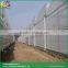 Large Sawtooth type prefabricated greenhouse clear plastic greenhouse