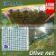 Agriculture Olive Collection Net for green / 60201-33 (tape net)
