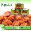 new corp production high quality 400g canned broad beans