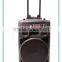 High quality active bluetooth speaker with led light remote and wireless mic for stage DP-15