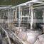 Tapioca starch price/Cassava starch (Email: julia.vilaconic@gmail.com)
