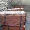 Supply china good and cheap Copper cathode 99.99% (A72)