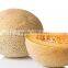Strong Growth Anti Wilt Disease Melon Seeds Hybrid Melon Seeds Yellow Moon