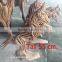 Tree Root Wood Horse