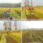 Gasoline engine chickpea harvester