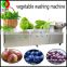 China produce vegetable cleanner central kitchen leaf vegetable washing machine automatic ozone washer