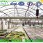 China commercial used greenhouse frames for sale