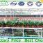 agriculture greenhouse rolling bench