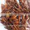 Best price of plastic grasshoppers