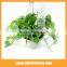 6pcs/set Water Spike Garden Plant Watering Spikes