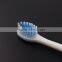 Oral hygiene products mini sponge toothbrush with cheapest price