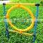Dog agility jump hoop, Dog agility leap hoop