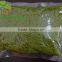 China Supplier Wholesale Spinach Konjac Spaghetti