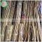 Large Dry Raw Moso Bamboo Poles for Sale 20mm-40mm