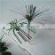 Safe and healthy disposable palm tree cocktail pick