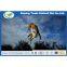 High quality YEQIN anti bird net