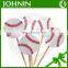 Factory Wholesale Disposable Paper Custom Toothpick Flag