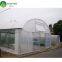 Hot Sale Single-Span Film Greenhouse Indoor