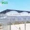 2017 Hot Selling Greenhouse Farm For Sale