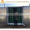 Large hydroponic fodder growing systems , Hydroponic grass growing plant for cattle