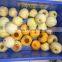 DARIBO Commerical Round Fruit Apple  Peeler Peeling Machine with Big Capacity