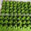 Indoor Outdoor Multi Pockets Non Woven Fabric Plant Wall Felt Vertical Garden