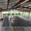 Chicken cages