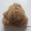 100% Natural Sheep Wool 100% Cashmere Wool  Wool Raw Materials