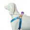 customize colorful dog harness easy to wear durable manufacture dog collar metal buckle