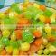 Good quality and nice design hot selling Electrical mandoline slicer for Vegetable Preparing