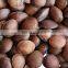 Best sale high quality organic sacha inchi nut/Tasty seeds sacha inchi from Vietnam