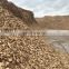 WOOD CHIPS FROM VIETNAM WITH HIGH QUALITY AND GOOD PRICE