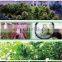 Great Supplier Waterproof Led Grow Lamp Foldable Plants Lighting Led Spectrum GrowLights