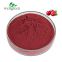 FREE SAMPLE Freeze-Dried Anthocyanidins Cranberry Powder for Juice Organic Cranberry Extract Powder
