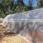 Heavy Duty Clear Greenhouse Grow Cover Plastic Transparent PE Waterproof Tarpaulin Cloth