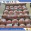 Concrete pump pipeline orange sponge natural sponge foam cleaning ball