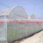Window screen net