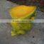 2015 Hot Sales Cheap Wholesale Magnesia Craft Lotus Tables and Frog Chairs